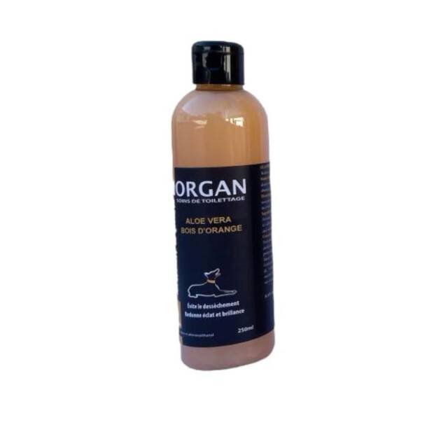 Morgan - Shamp. Aloe Vera & Bois d'orange - 250 ml