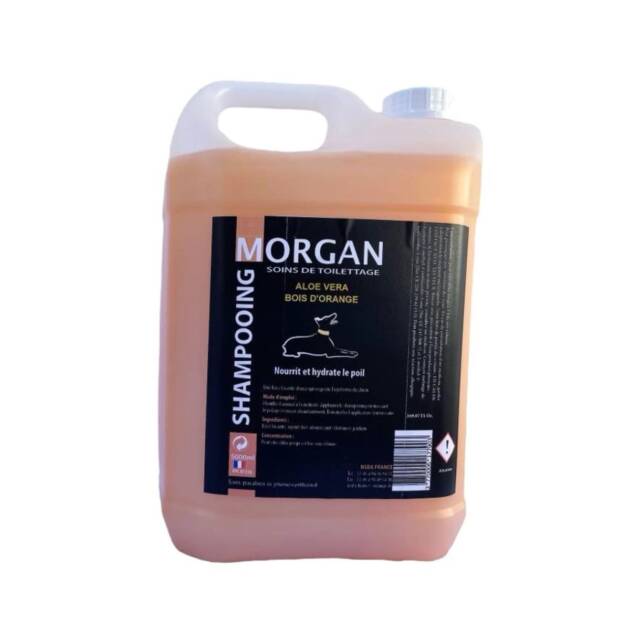 Morgan - Shamp. Aloe Vera & Bois d'orange - 5l.