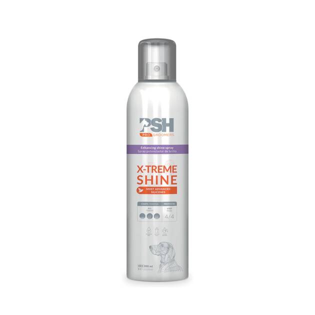 PSH - Spray finition - X-Trême Shine - 300 ml