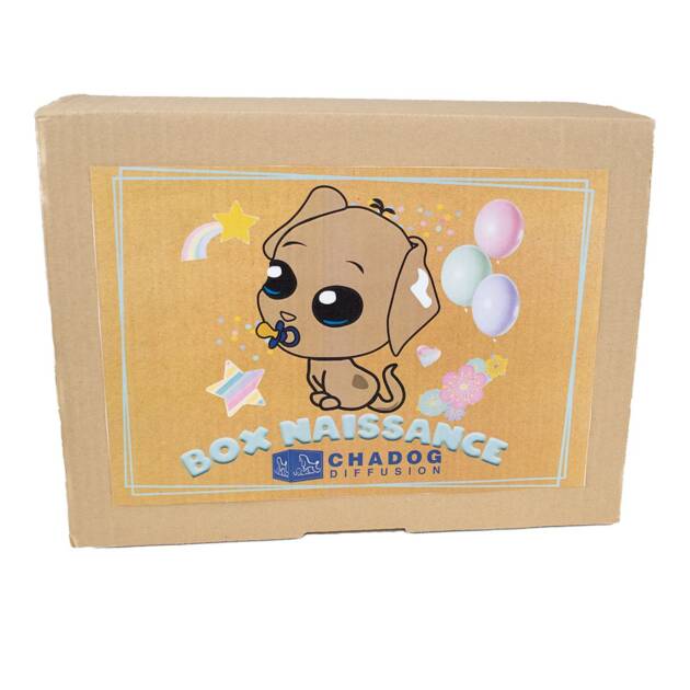 Doogy - Box Naissance pour chiot