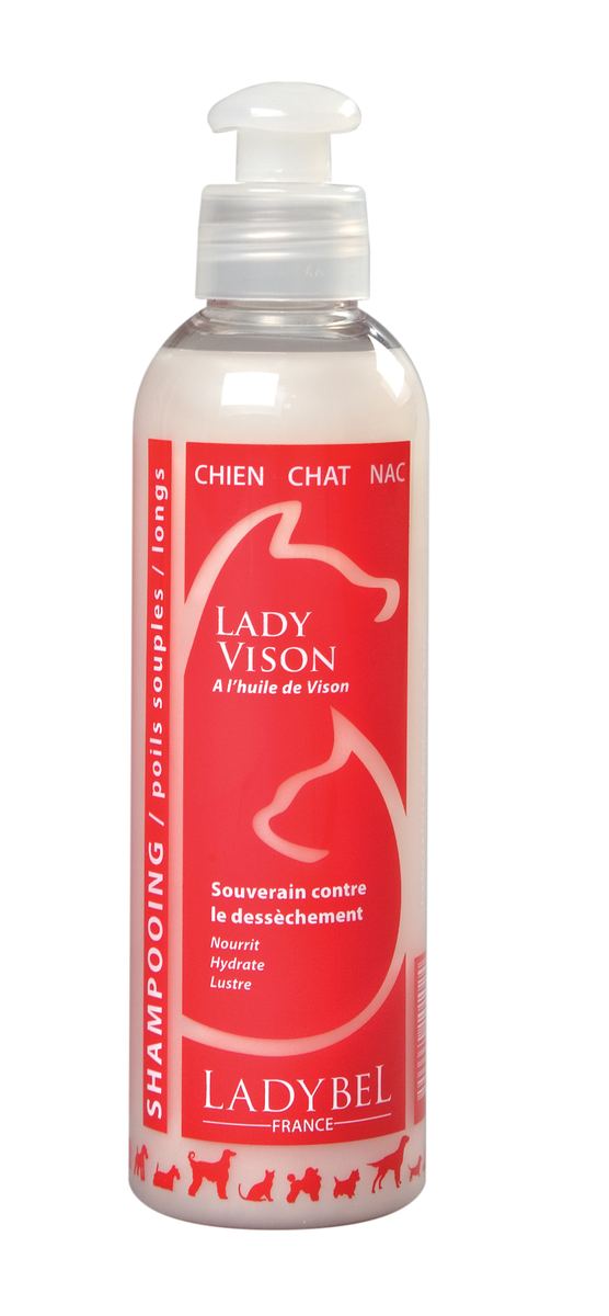 Ladybel - Lady Vison