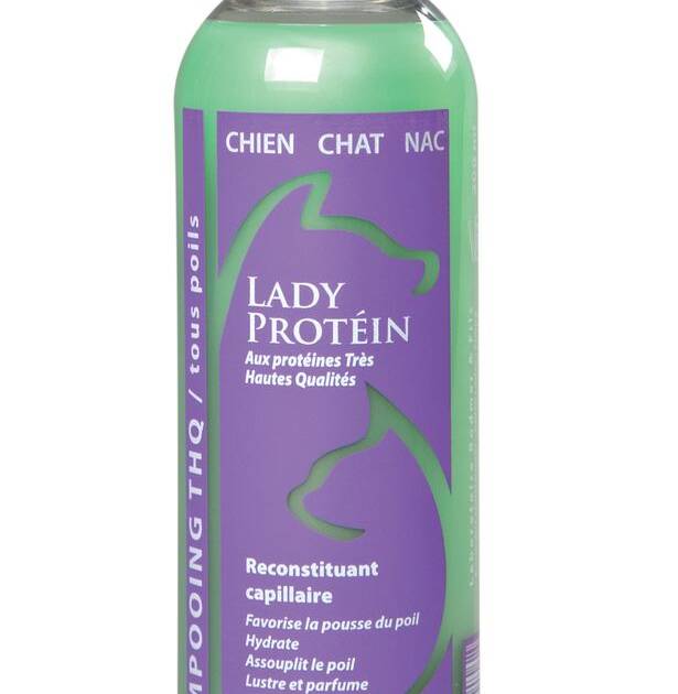 Ladybel - Lady Protéin