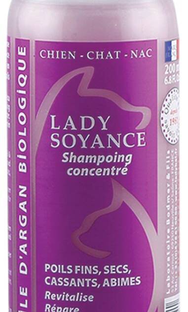 Ladybel - Lady Soyance