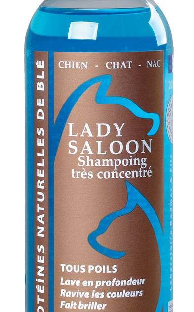 Ladybel - Lady Saloon