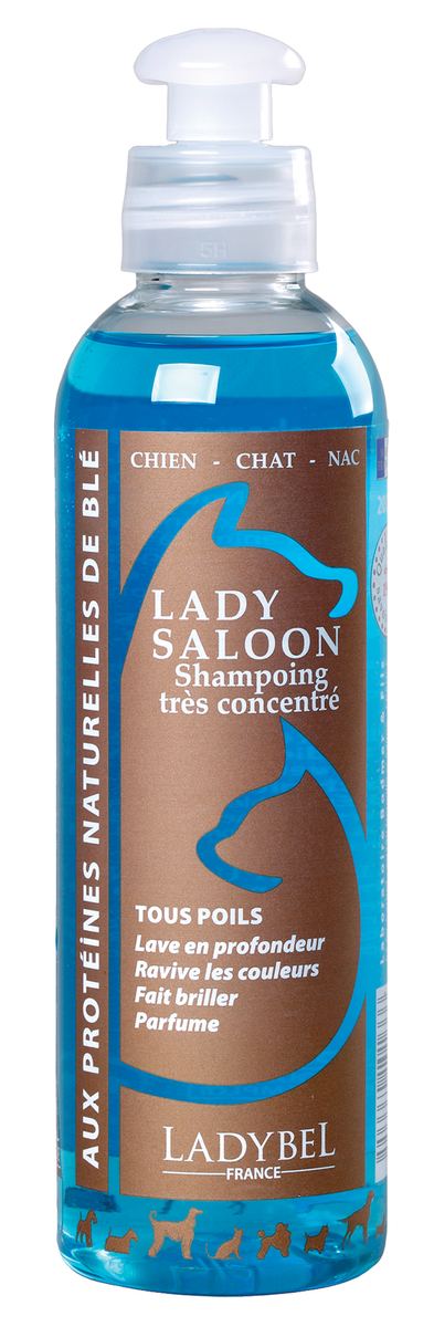 Ladybel - Lady Saloon