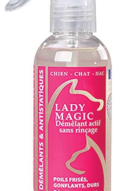 Ladybel - Lady Magic