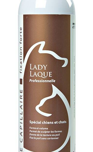 Ladybel - Lady Laque - 300 ml