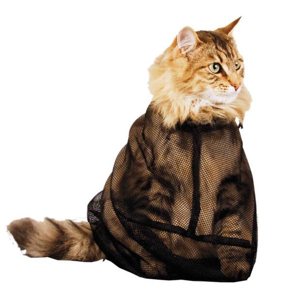 Cat Bag