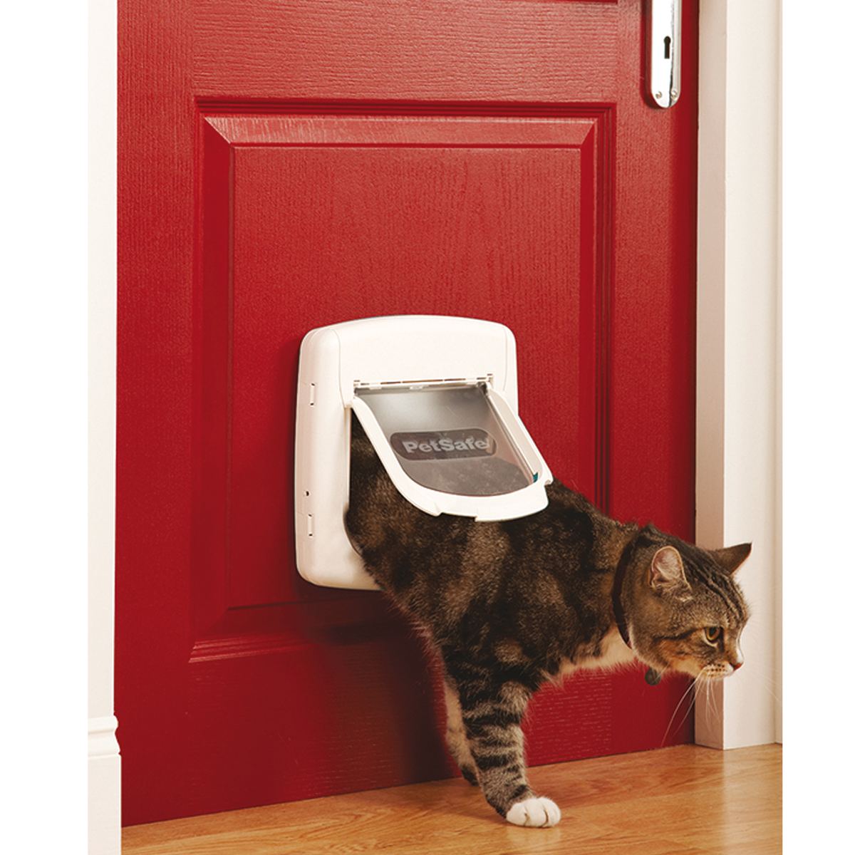 PetSafe - Chatière 4 voies - Magnétique - Blanc