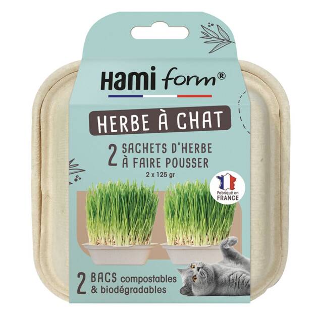 Hamiform - Herbe à chat à faire pousser