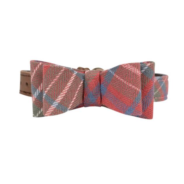 Collier Scottish - T30 - 21/26 cm*15 mm