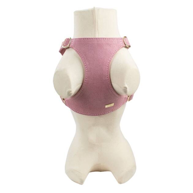 Doogy - Collier So Sweety