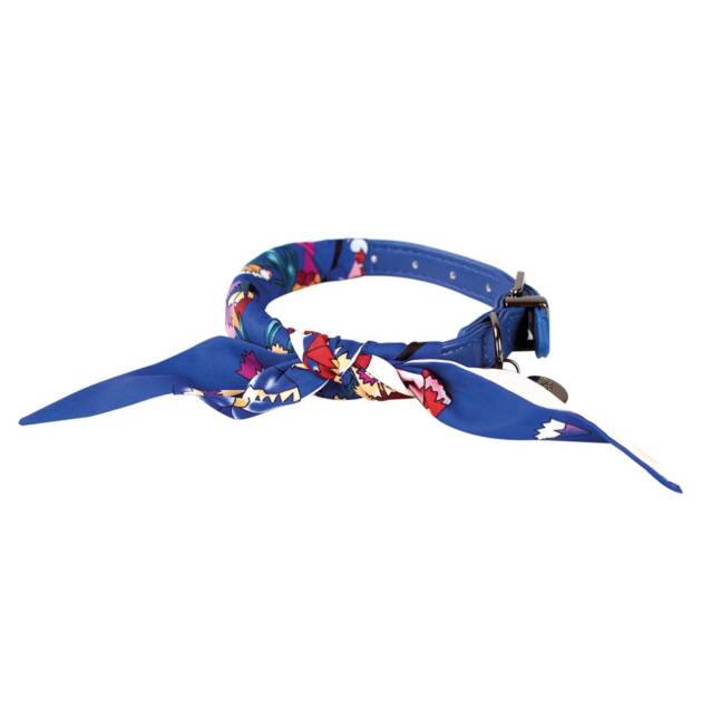 Doogy - Collier So Chic - T30 Bleu