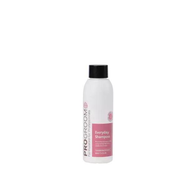EveryDay Shampoo 500ml