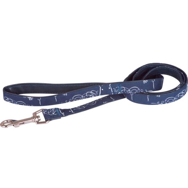 Doogy - Laisse Plage - Bleu - 120 cm*16 mm