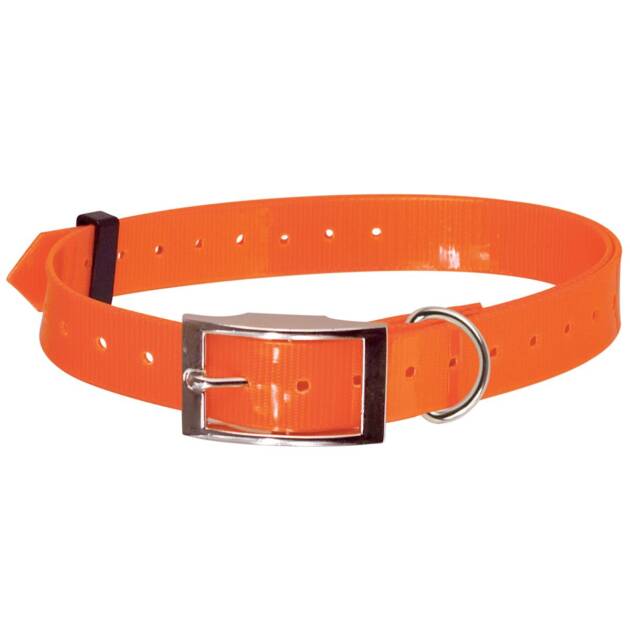 Collier Fluo