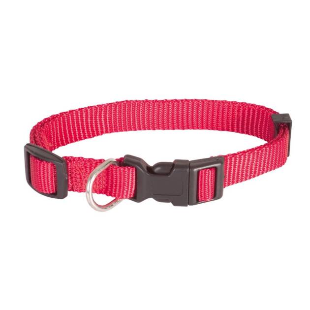 Collier nylon "Basic" - 20/35 cm*10 mm