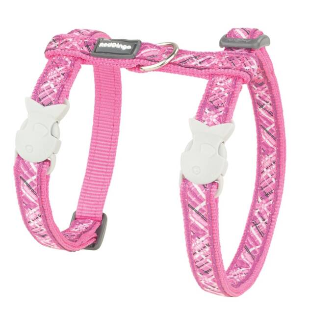 Red Dingo - Harnais + Laisse - Rose Flanno