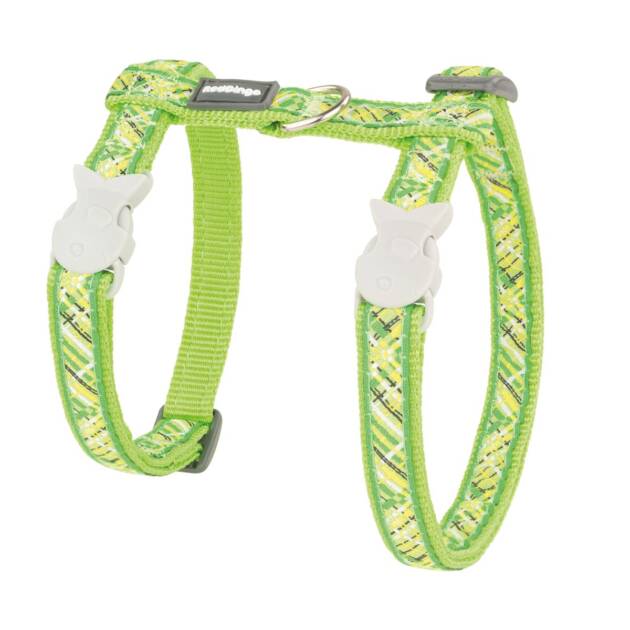 Red Dingo - Harnais + Laisse - Vert Flanno