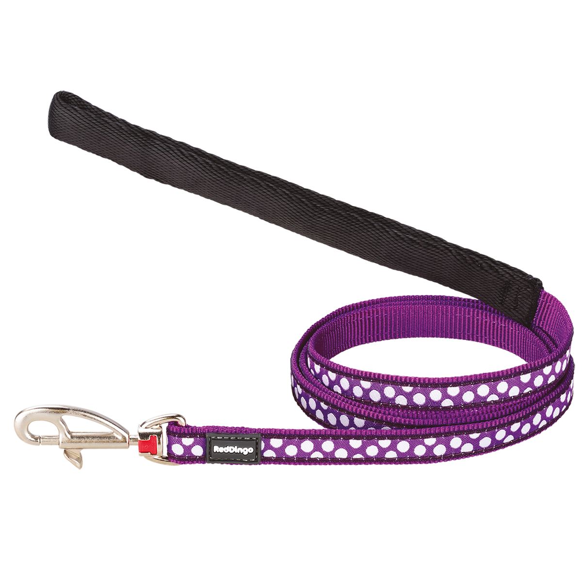 Red Dingo - Harnais + Laisse - Violet Pois blancs
