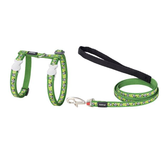Red Dingo - Harnais + Laisse - Vert Panda