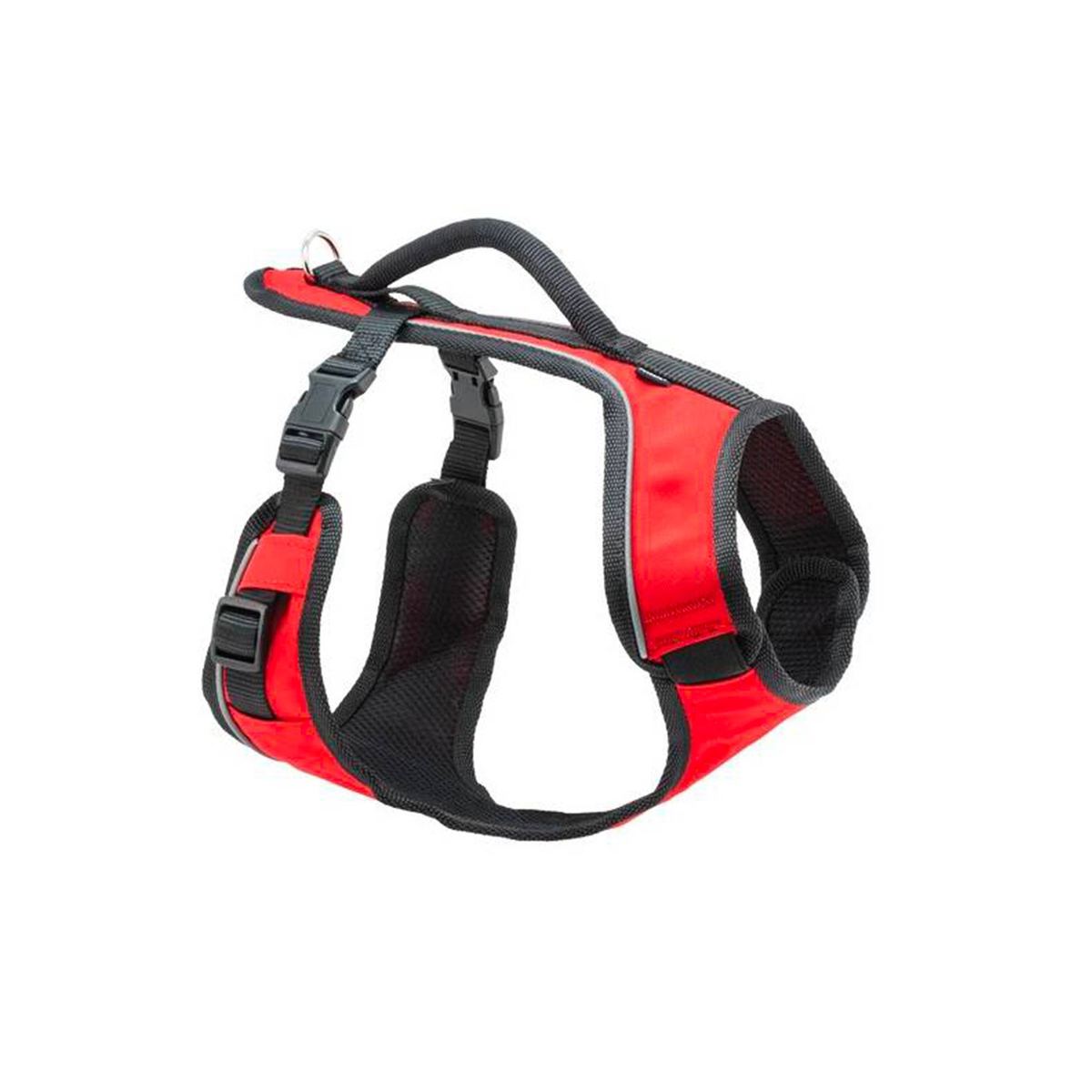 Easysport - Harnais - 46 - 56 cm