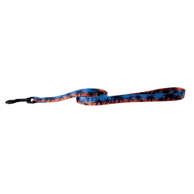 Doogy - Laisse Florida - 120 cm*20 mm