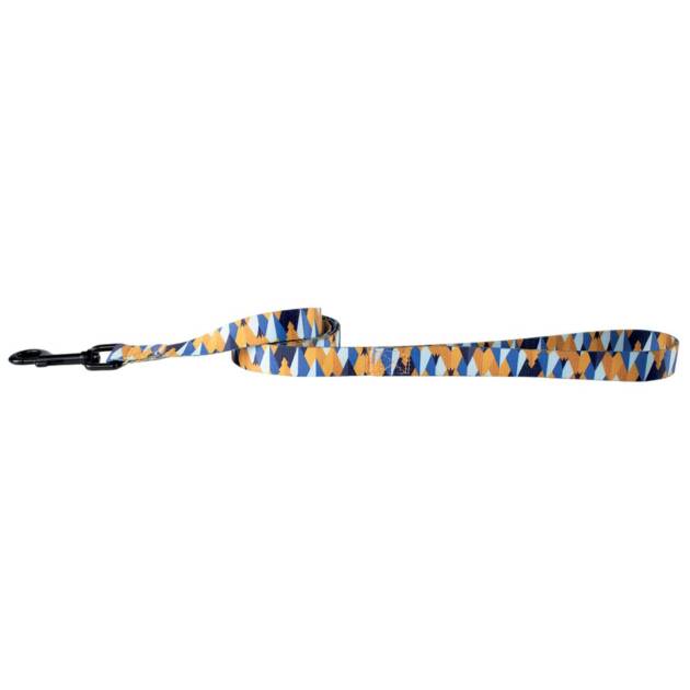 Doogy - Laisse Sahara - 120 cm*20 mm