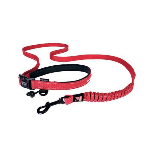 Ezydog - Laisse Road Runner