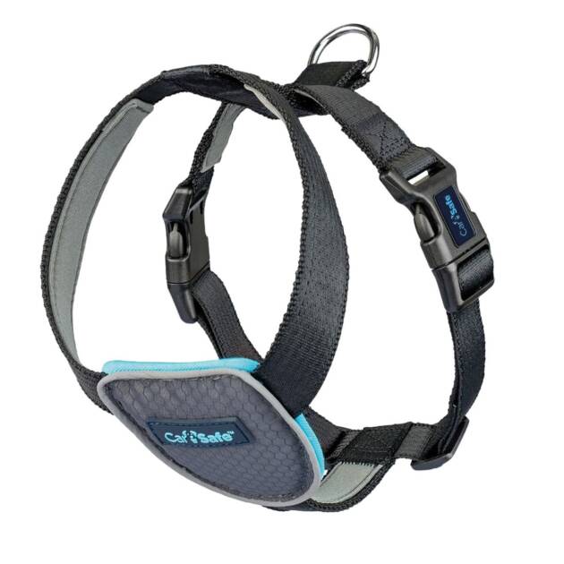 Harnais Carsafe