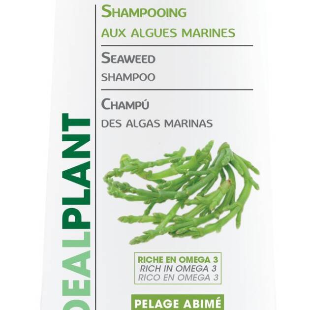 IDéalPlant - Shampoing - Algues marines