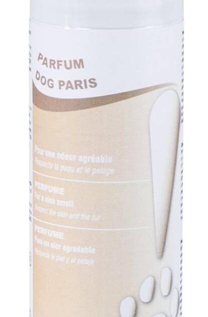 DG - Parfum Dog Paris