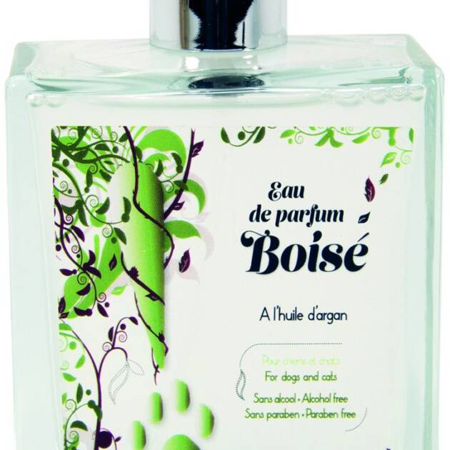 DG - Parfum Boisé