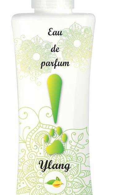 DG - Parfum Ylang