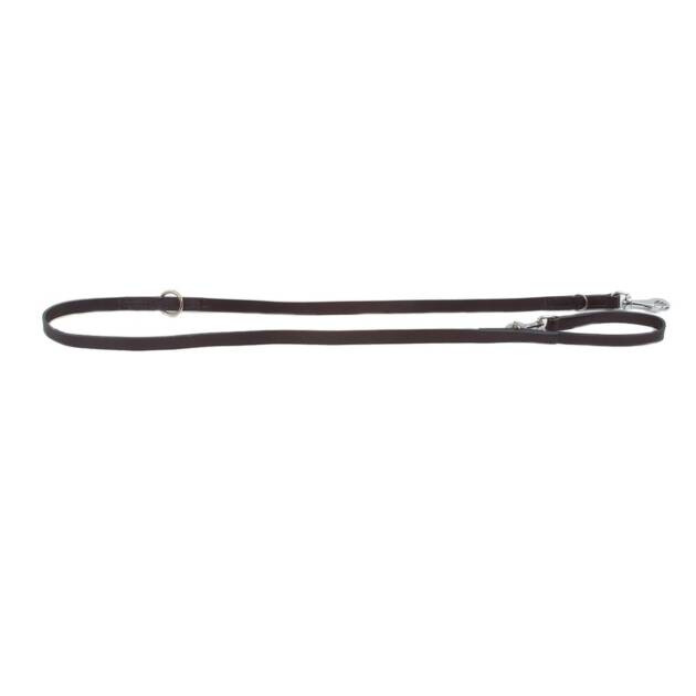 Laisse de travail - 3 positions - 200 cm*18 mm