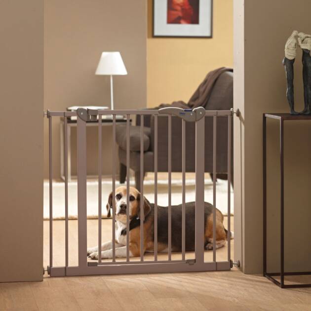 Dog Barrière 75 cm