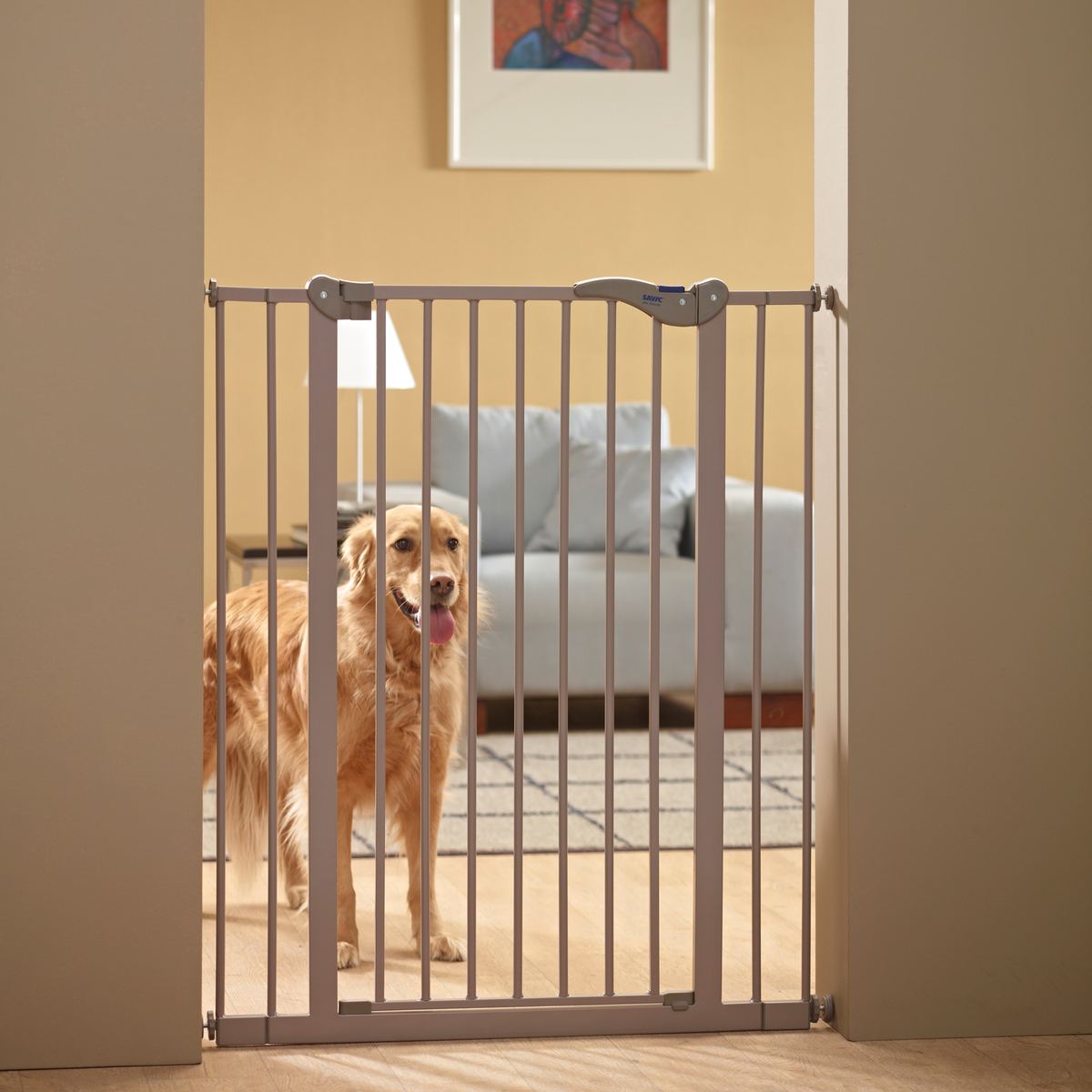 Dog Barrière 107 cm