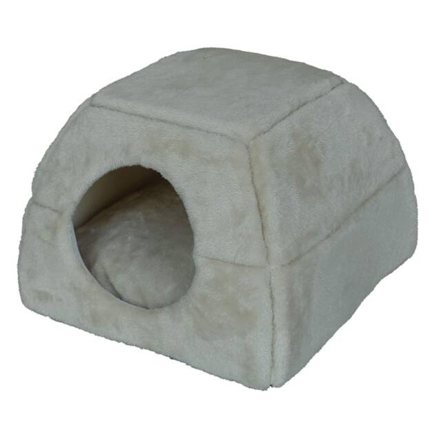 Doogy - Igloo Sweet Dream