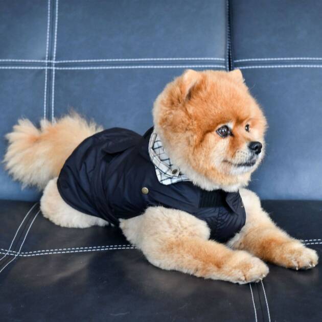 Doogy - Imper Tonga New Gen. - T28 - Noir