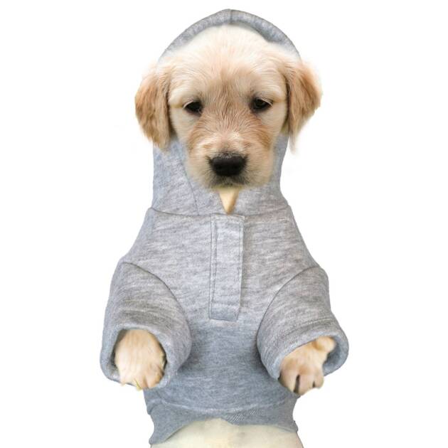 Doogy - Sweat Sport - T20