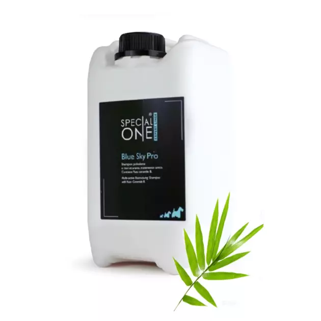 Special One - BLUE SKY PRO (BAMBOU) 10 L