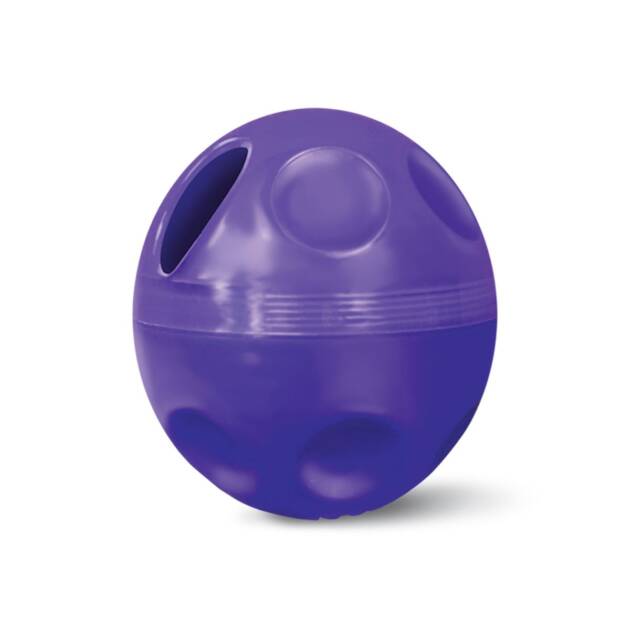 Kong - Active Ball - Chat