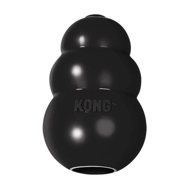 Kong - Extrême