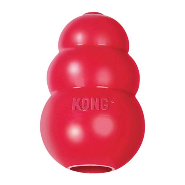 Kong - Classic - X-Small