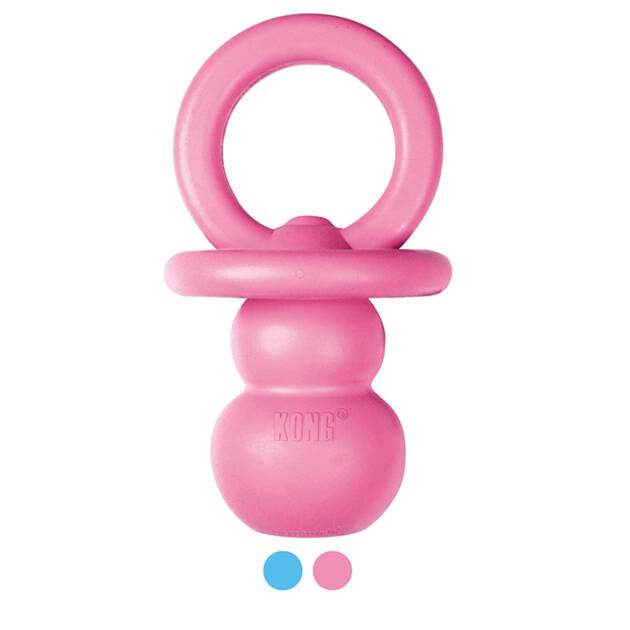 Kong - Binkie - Chiot 2 à 6 mois