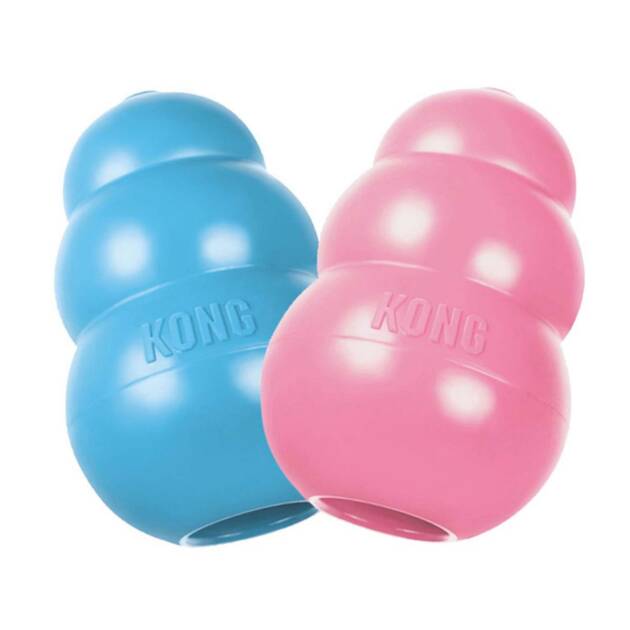 Puppy Kong
