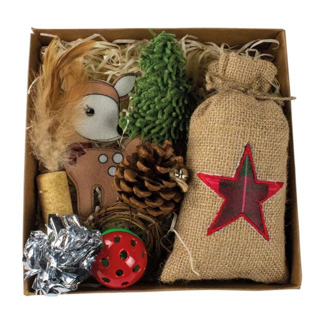 Noël - Lot de 9 jouets pour chat