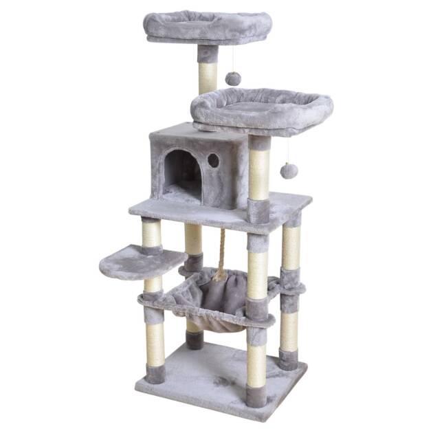 Arbe à chat Palerme
