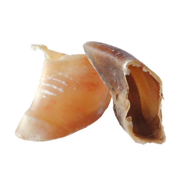 Bubimex -Sabots de veau - 100 pièces