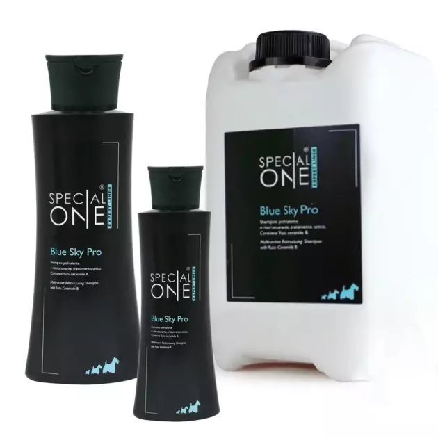 Special One - BLUE SKY PRO, DILUABLE 40 FOIS !